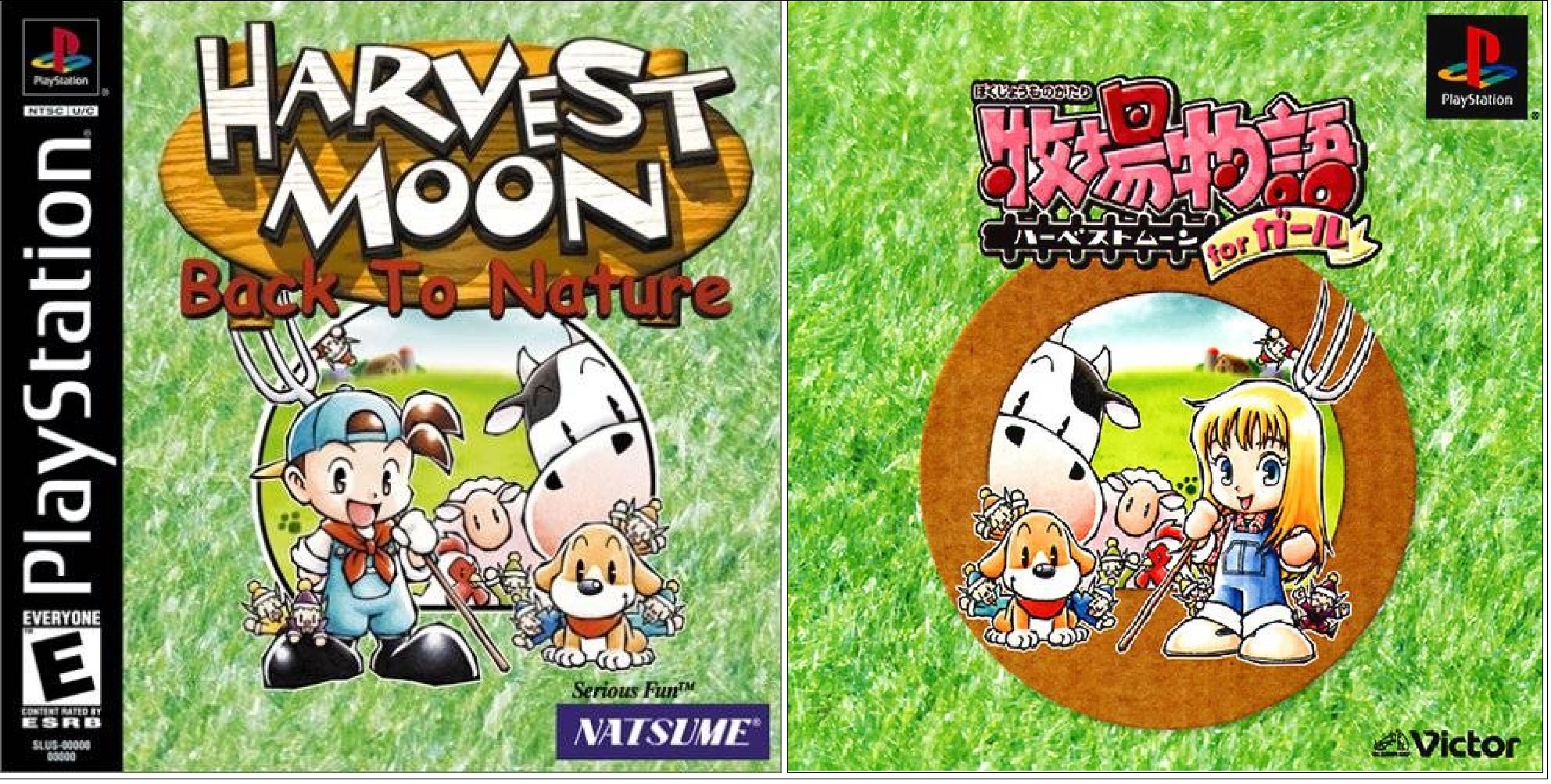 Harvest Moon English vs. Japanese Version